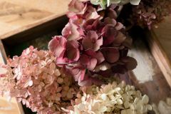 Grigull_Annenheim_AliceHolzfeind4
