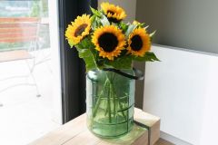 Grigull_Annenheim_AliceHolzfeind5